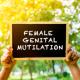 Female genital mutilation 