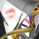 Is cheating genetic?