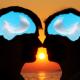 Sunset couple in love - with featherbrains!