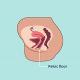 Pelvic Floor 